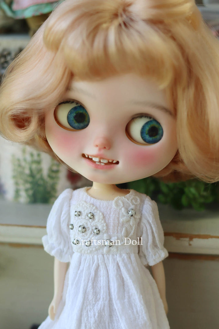 Blythe Clothes/Blythe Dress/B1117/